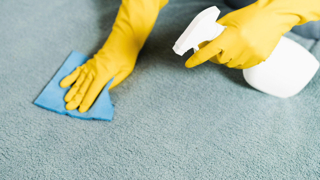 Extend the Life of Your Carpets with Expert Maintenance Tips